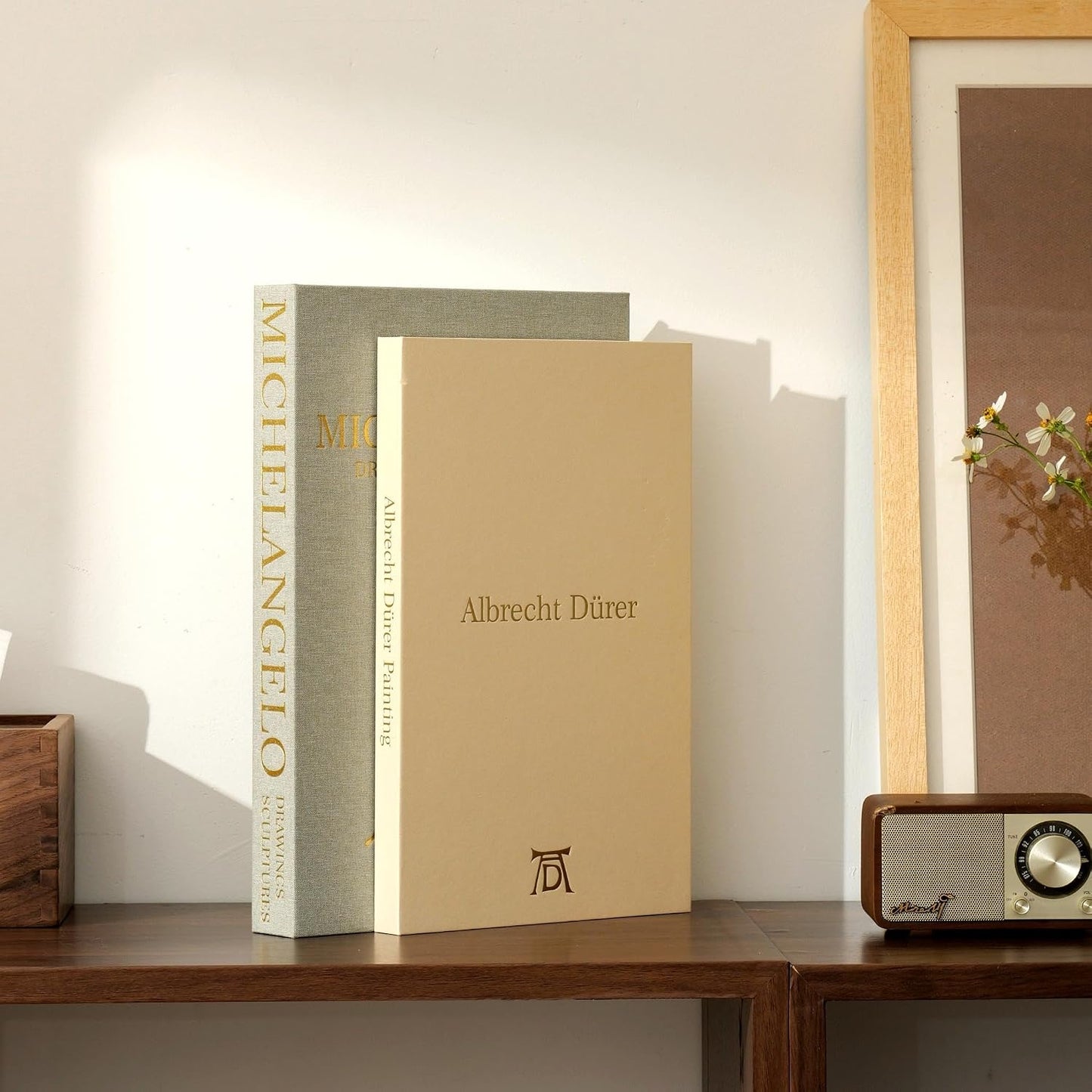 Fake/Faux Book Boxes / Set of 2