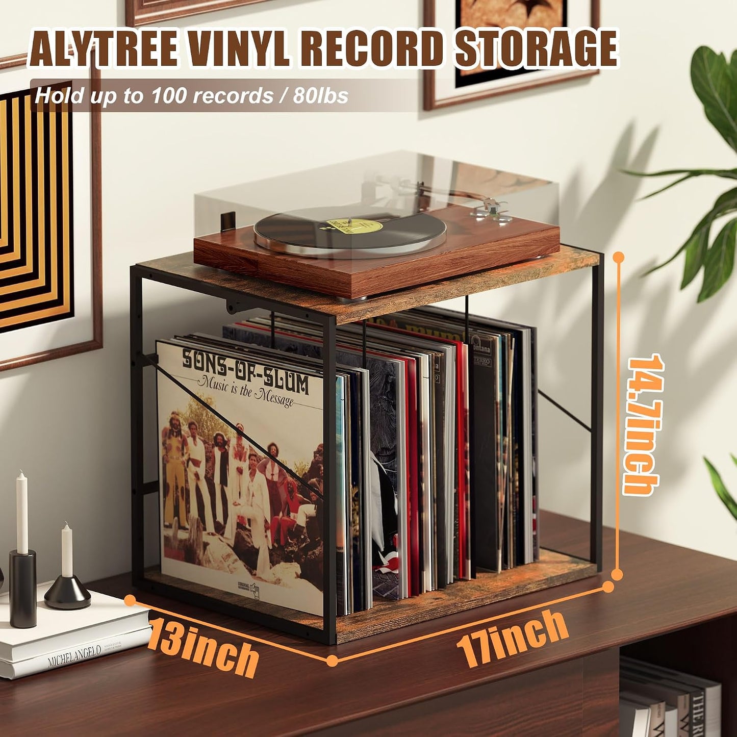 Vinyl Record Storage Holder for 80-100LPs, Vinyl Record Stand Wall Mount with Movable Divider, Solid Record Display
