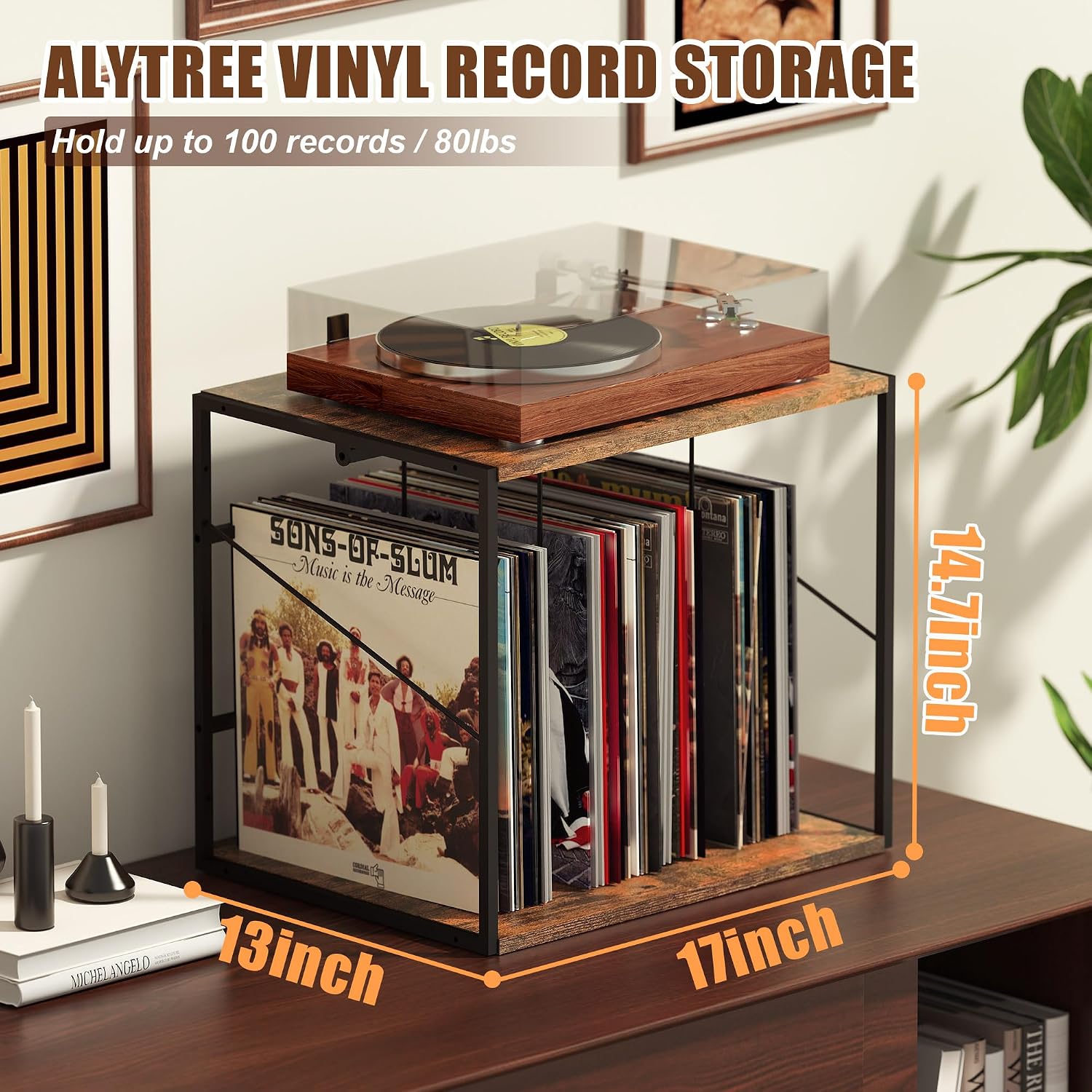 Vinyl Record Storage Holder for 80-100LPs, Vinyl Record Stand Wall Mount with Movable Divider, Solid Record Display