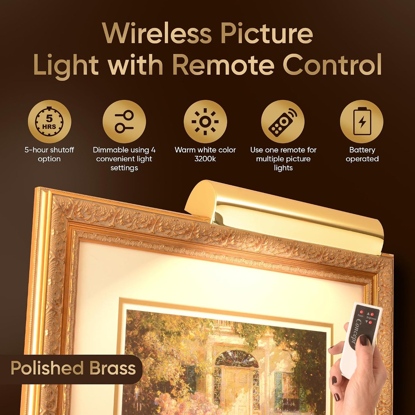Concepdesigns Picture Light, Battery Operated Picture Light, Dimmable Wireless Picture Lights for Wall, Art Light