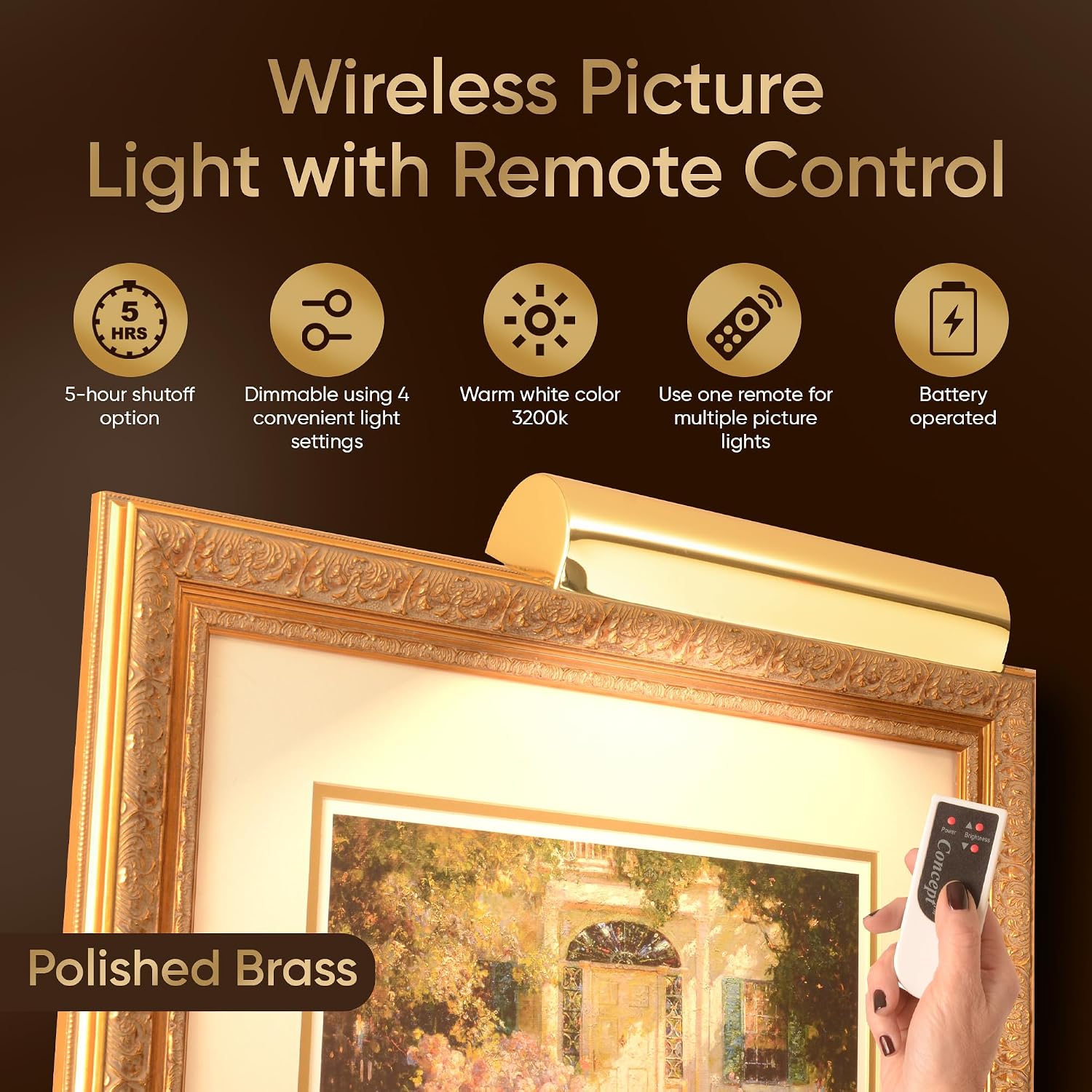 Concepdesigns Picture Light, Battery Operated Picture Light, Dimmable Wireless Picture Lights for Wall, Art Light