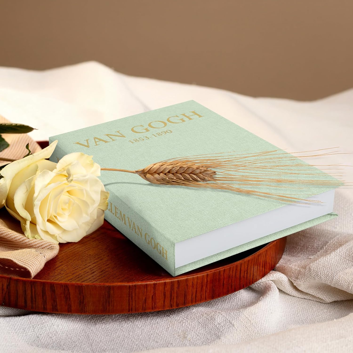 Faux Book Storage Boxes / Set of 2