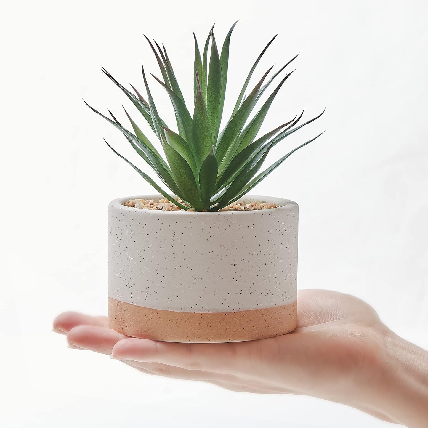 Artificial Succulent Plants in Ceramic Pots / Burlywood