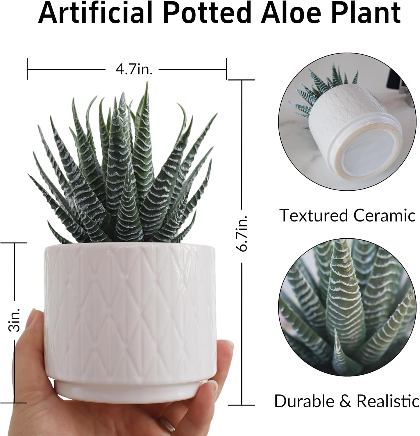 6.7'' High Faux Plants Indoor / Natural Green Succulent In White Ceramic Pot