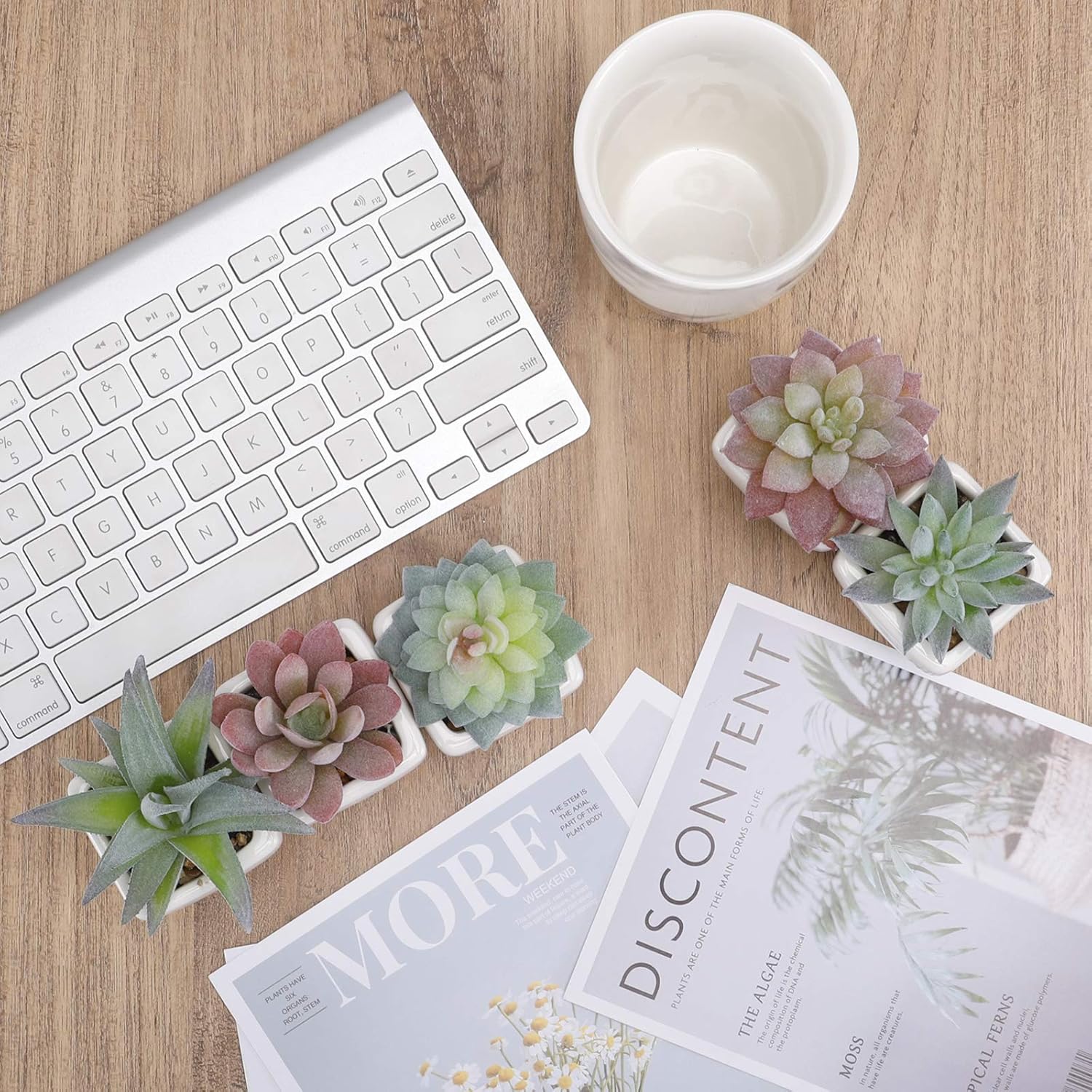 Artificial Succulent Plants / Set of 5
