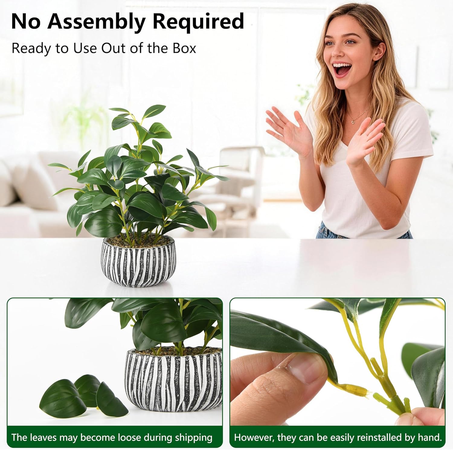 Fig Leaf Greenery in Rustic Clay Planter / White & Black Cement Planter