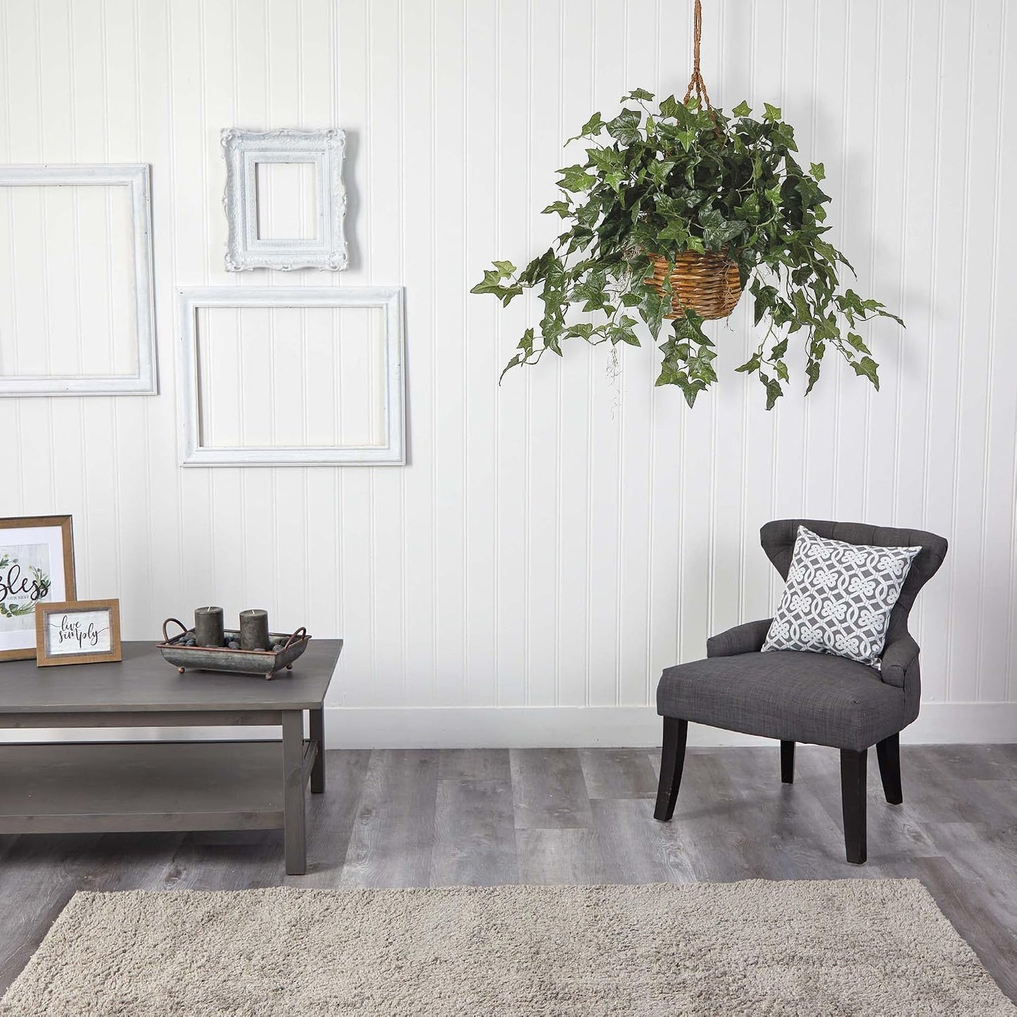 English Ivy Hanging Basket / Green / 36 x 36 x 26