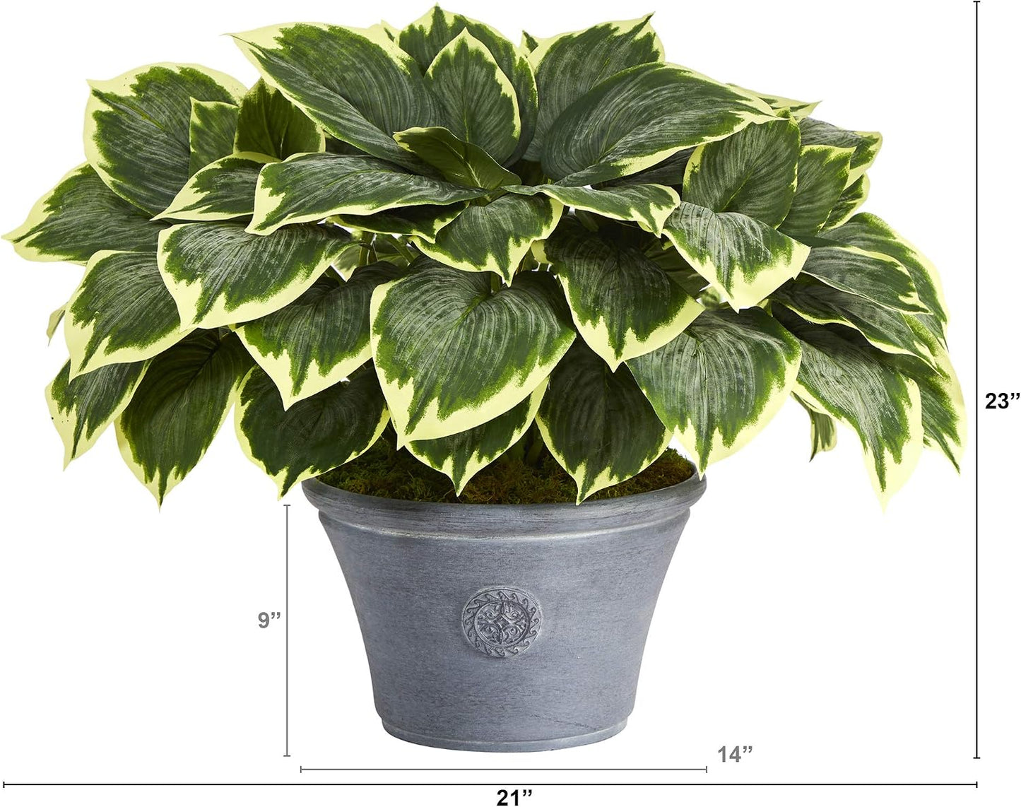 . Variegated Hosta Artificial Plant in Planter / Gray / 23 Inch