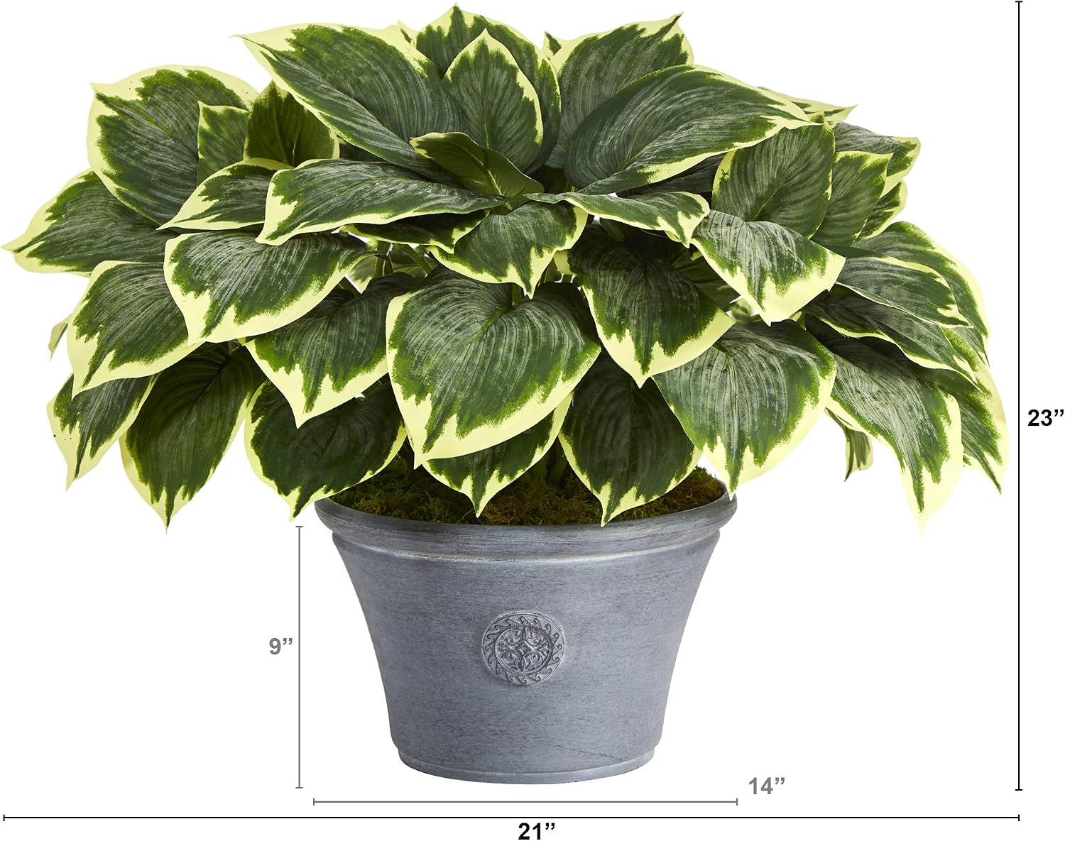 . Variegated Hosta Artificial Plant in Planter / Gray / 23 Inch
