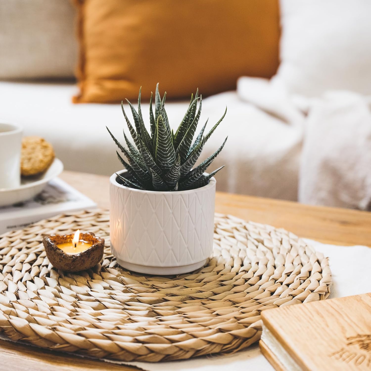 Artificial Succulent Plant in Matte Ceramic Pot / White