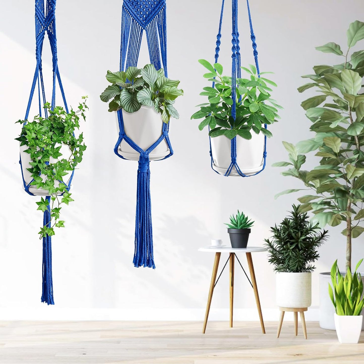 Macrame Plant Hangers / Navy Blue / Set of 6