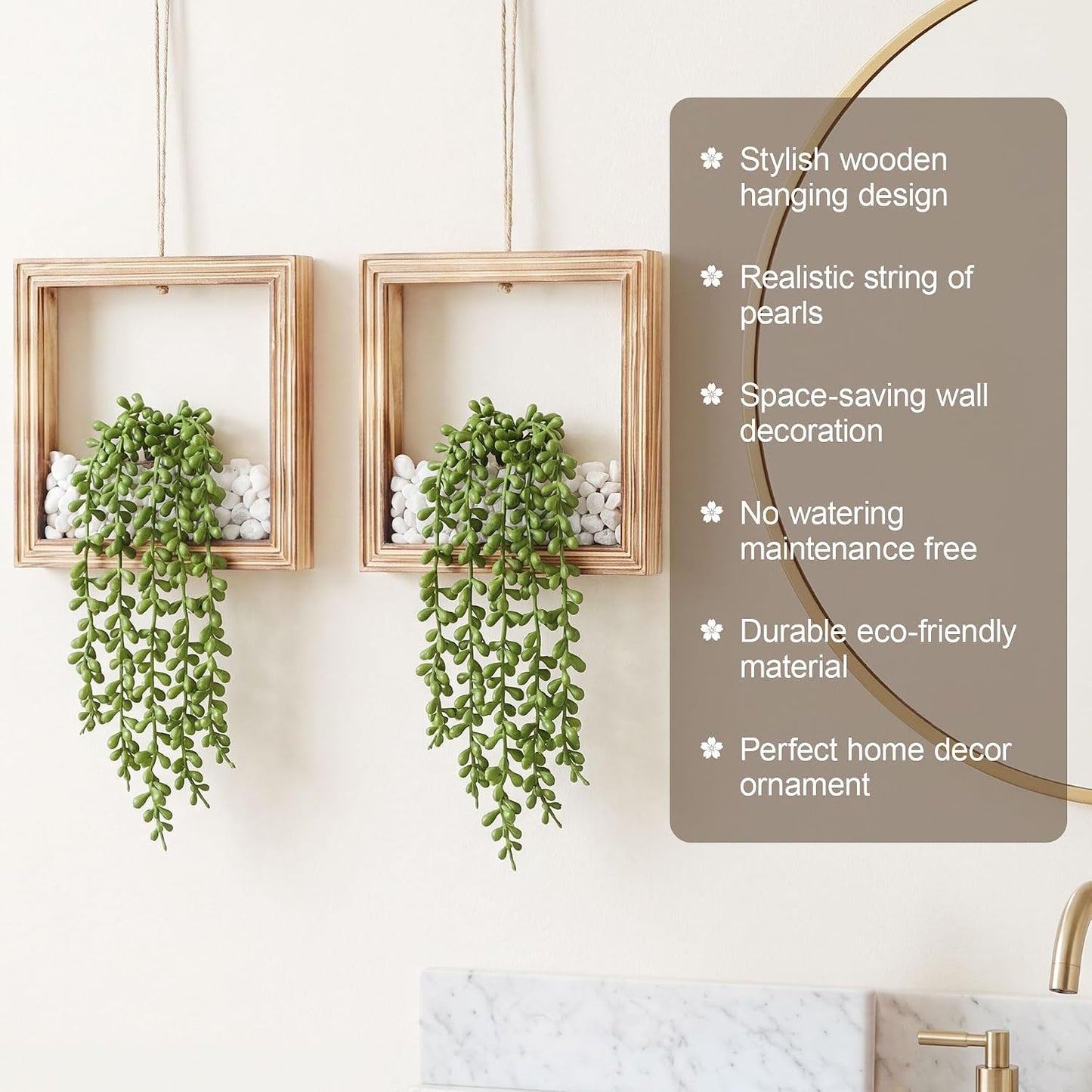 Artificial Succulents Plants in Square Wooden Frame / Burnt Wood / Set of 2