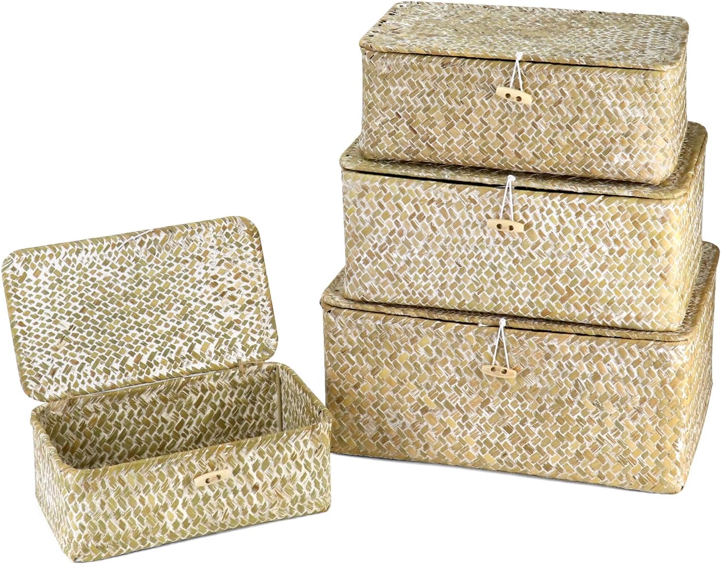 Seagrass Basket Set / 4-Piece Rattan Wicker Storage Baskets in Assorted Sizes