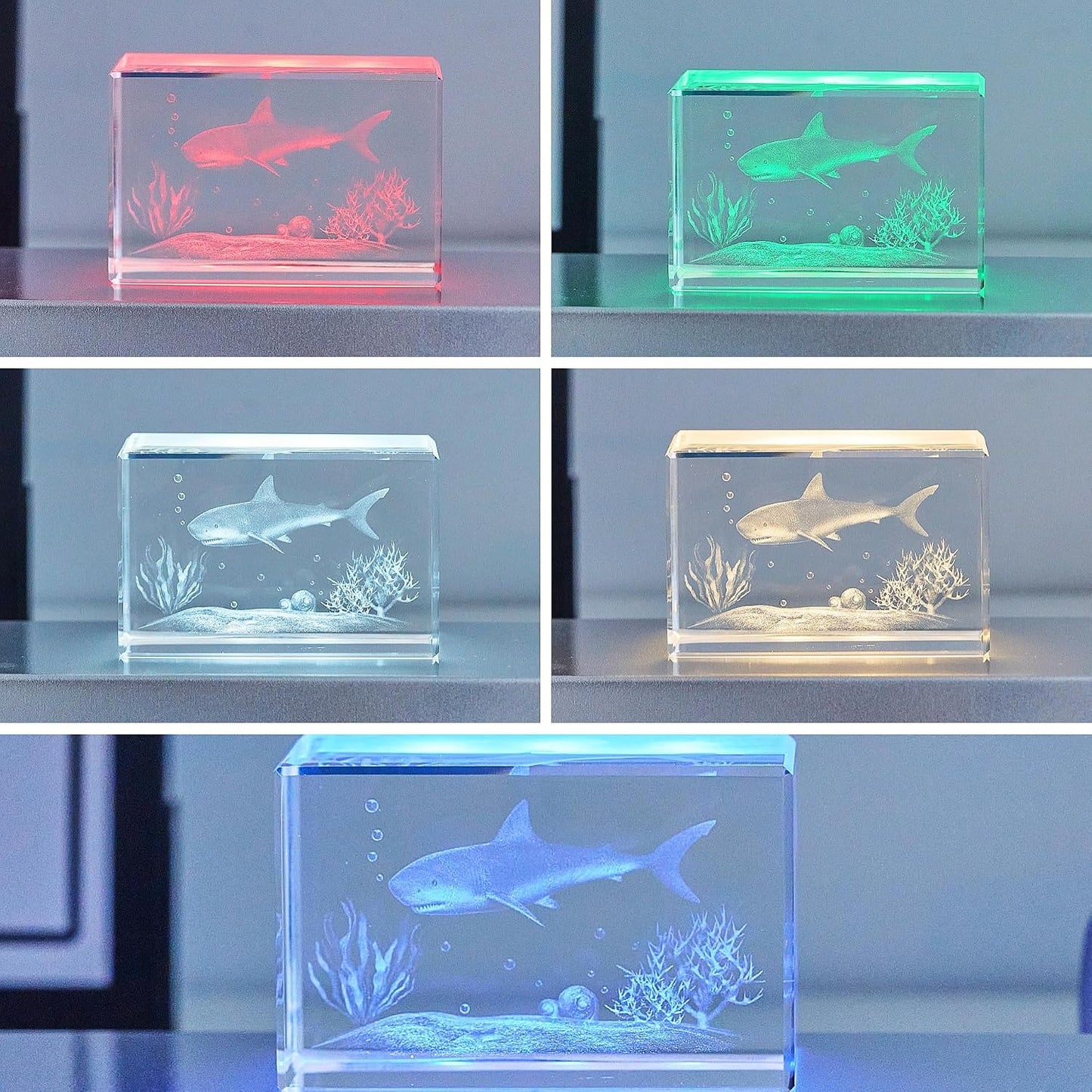 Lighted Up Stand Color Changing Small LED for 3D / Black / Large