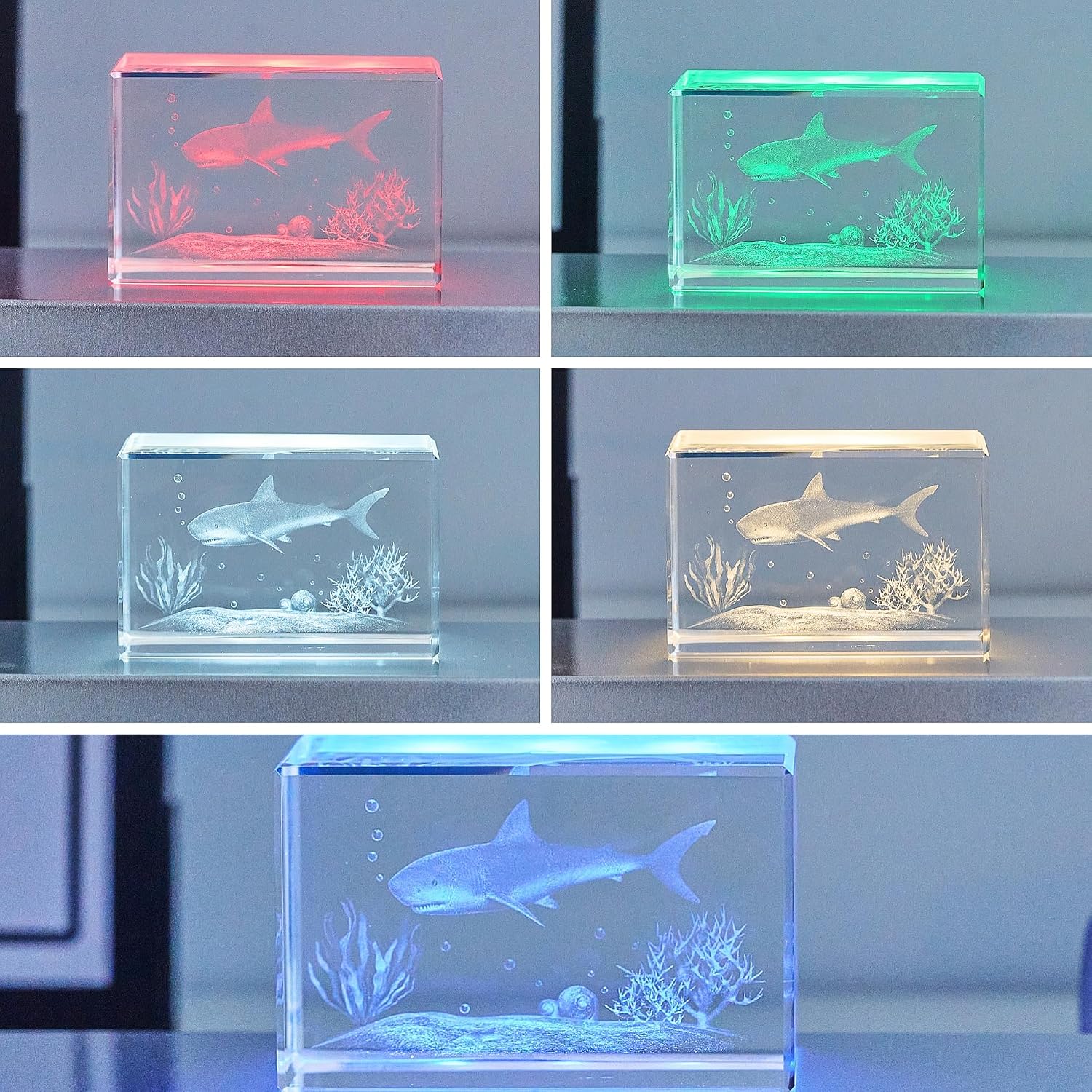 Lighted Up Stand Color Changing Small LED for 3D / Black / Large