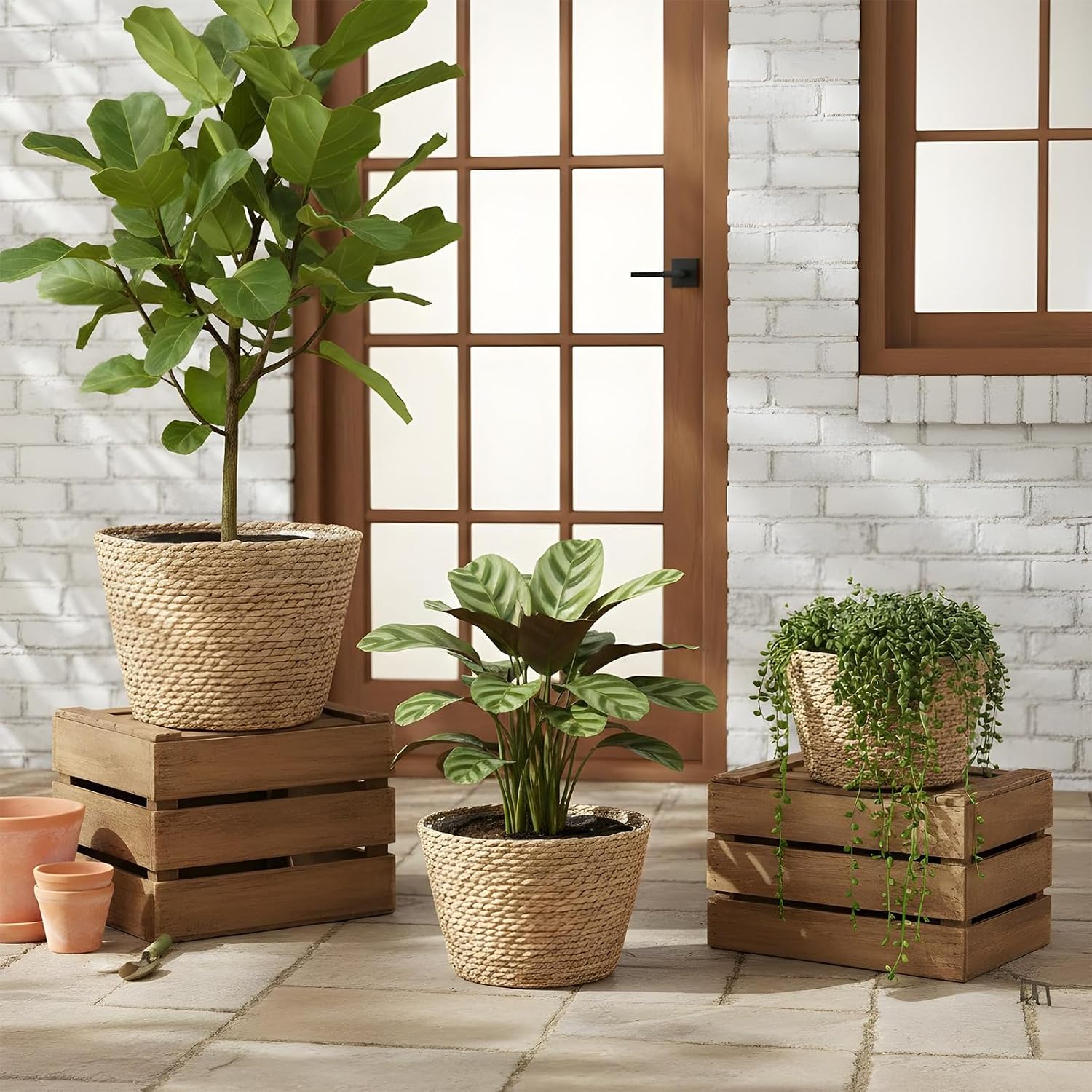 Seagrass Planter Basket / Set of 3