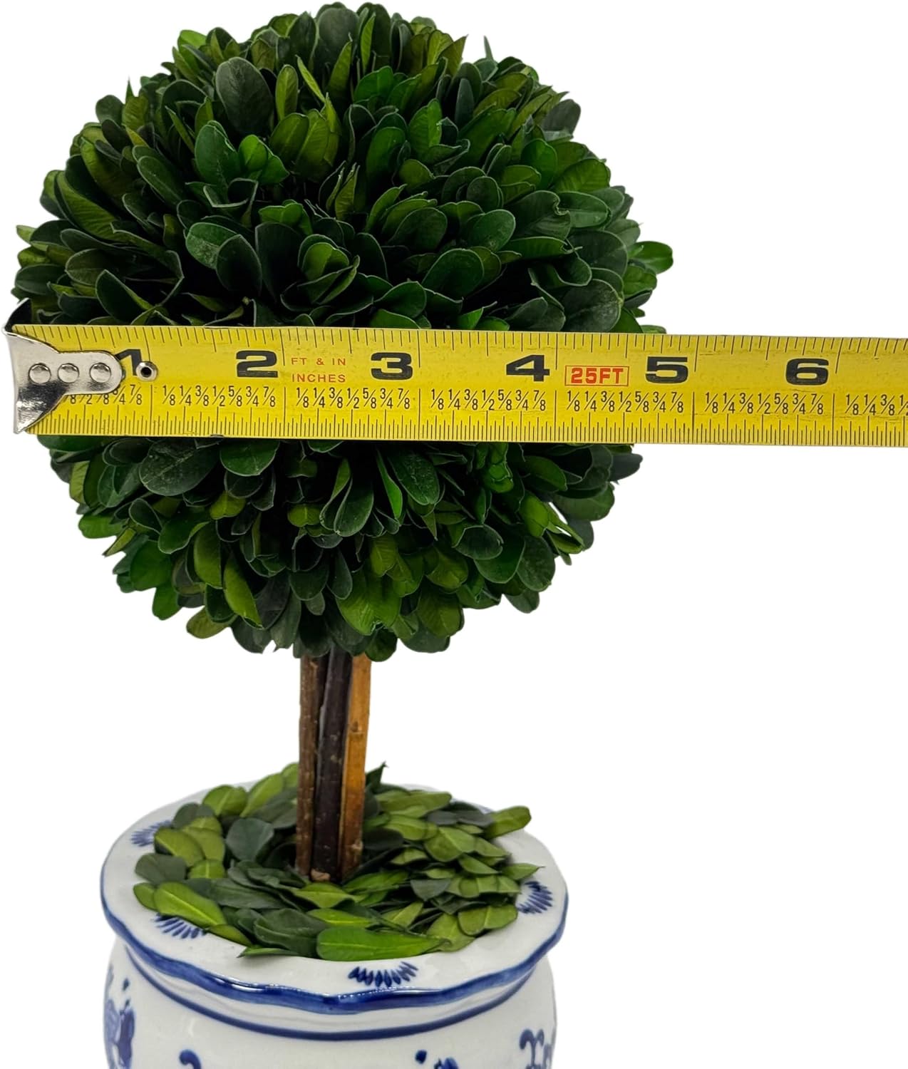 Naturally Preserved Boxwood Ball Topiary Tree in Round Hand / Round Pot Small 11" Topiary / Blue