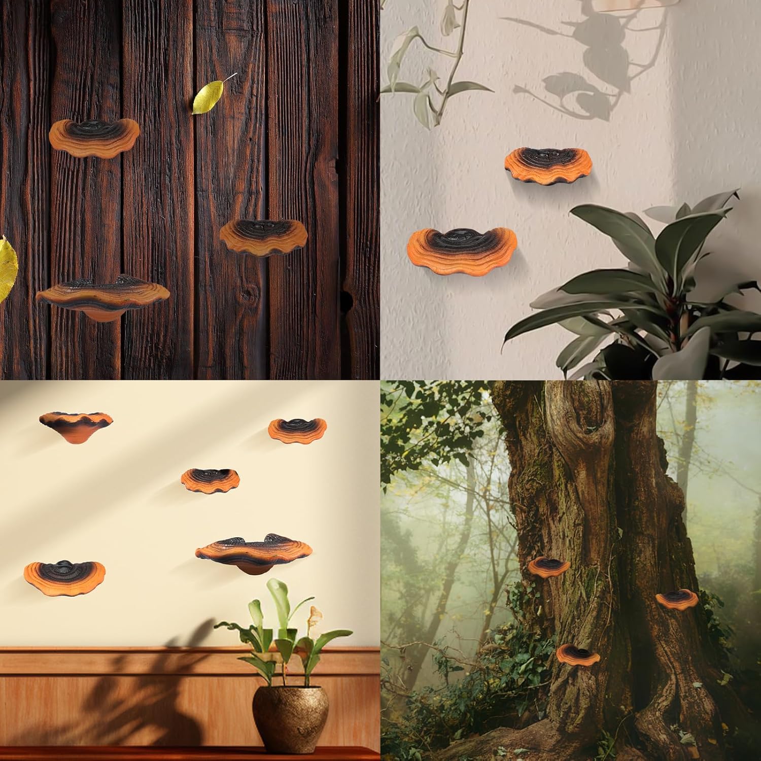 Mushroom Floating Shelves Reishi Shaped Mushroom Shelf Wall Decor Resin Mushroom Hanging / Set of 5