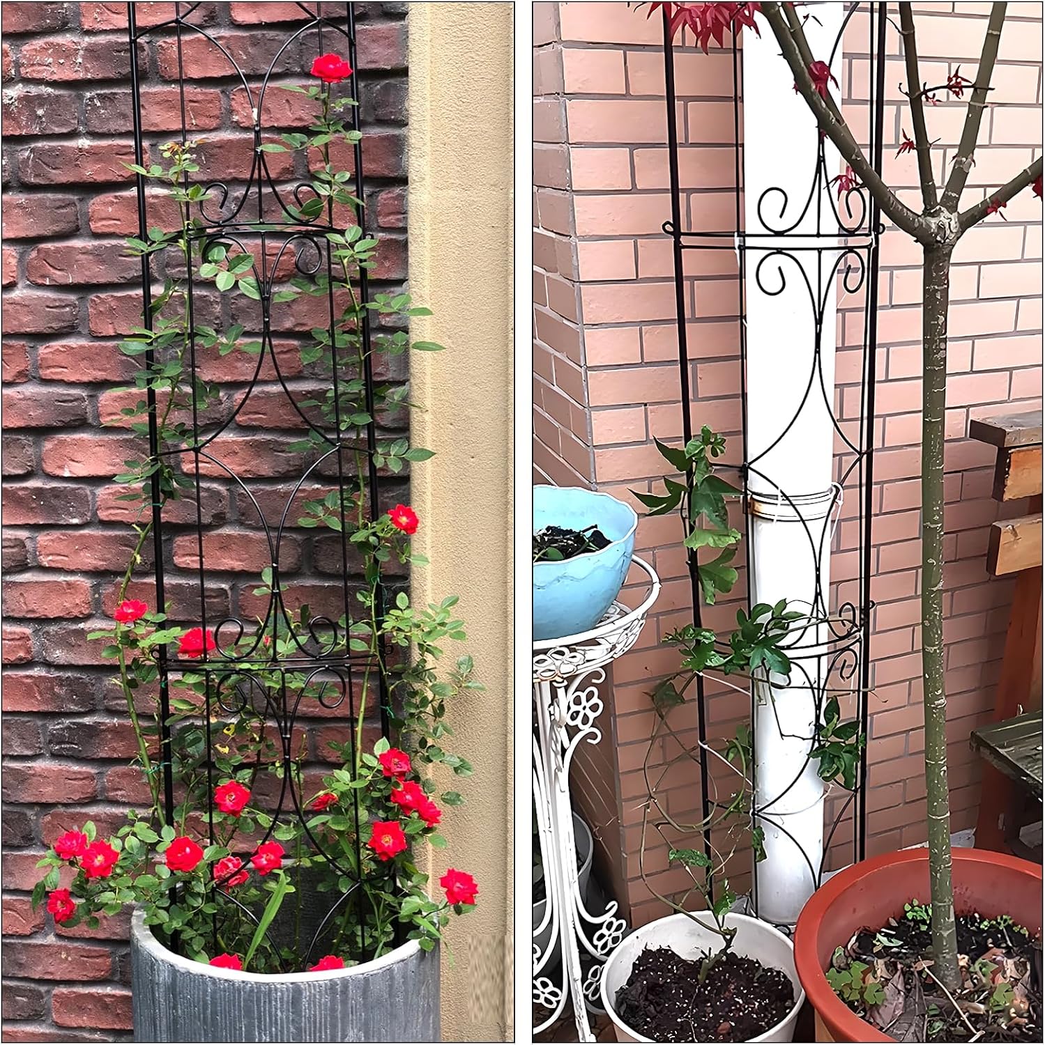 Garden Trellis 2 Pack 72'' H x 12'' W Metal Plant Trellis | Indoor/Outdoor Metal Garden Trellis Plant Trellis for