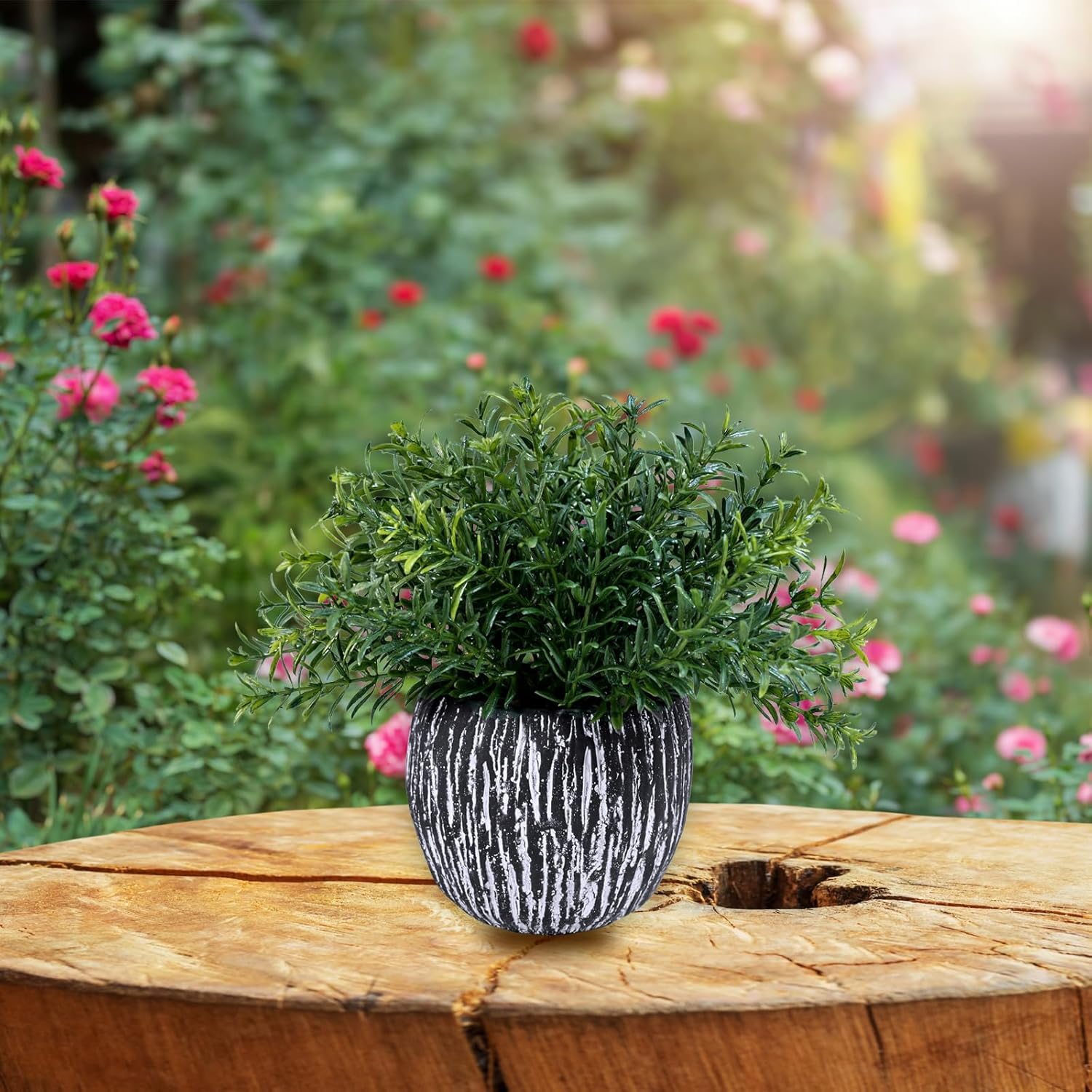Artificial Potted Plants Faux Eucalyptus Rosemary Boxwood Greenery in & White / Black / Set of 3