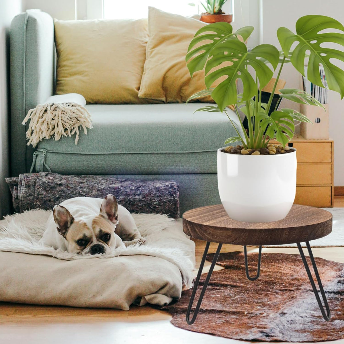 Wood Plant Stand Indoor Outdoor, 12'' Wooden Planter Stands Fit 5-15 in Pot | Plant Stool Flower Pot Stand Gardening