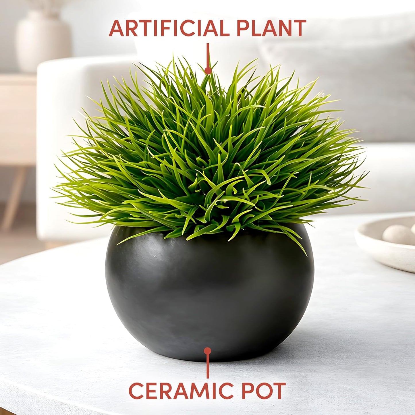 Fake Succulents Plants Artificial in Ceramic Pots Realistic Faux Succulents / Round / Set of 2
