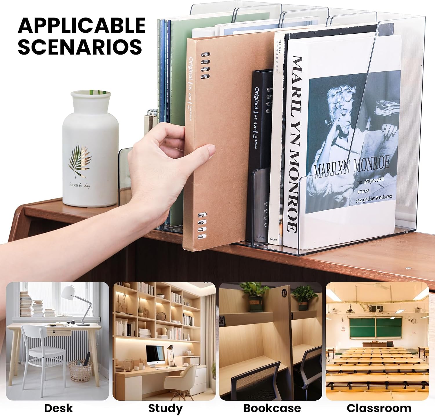 LALOBLUE Vertical Magazine File Holder, Clear, 4 Pack | Plastic, Holds Magazines, Binders, Notebooks, Envelopes, Desk