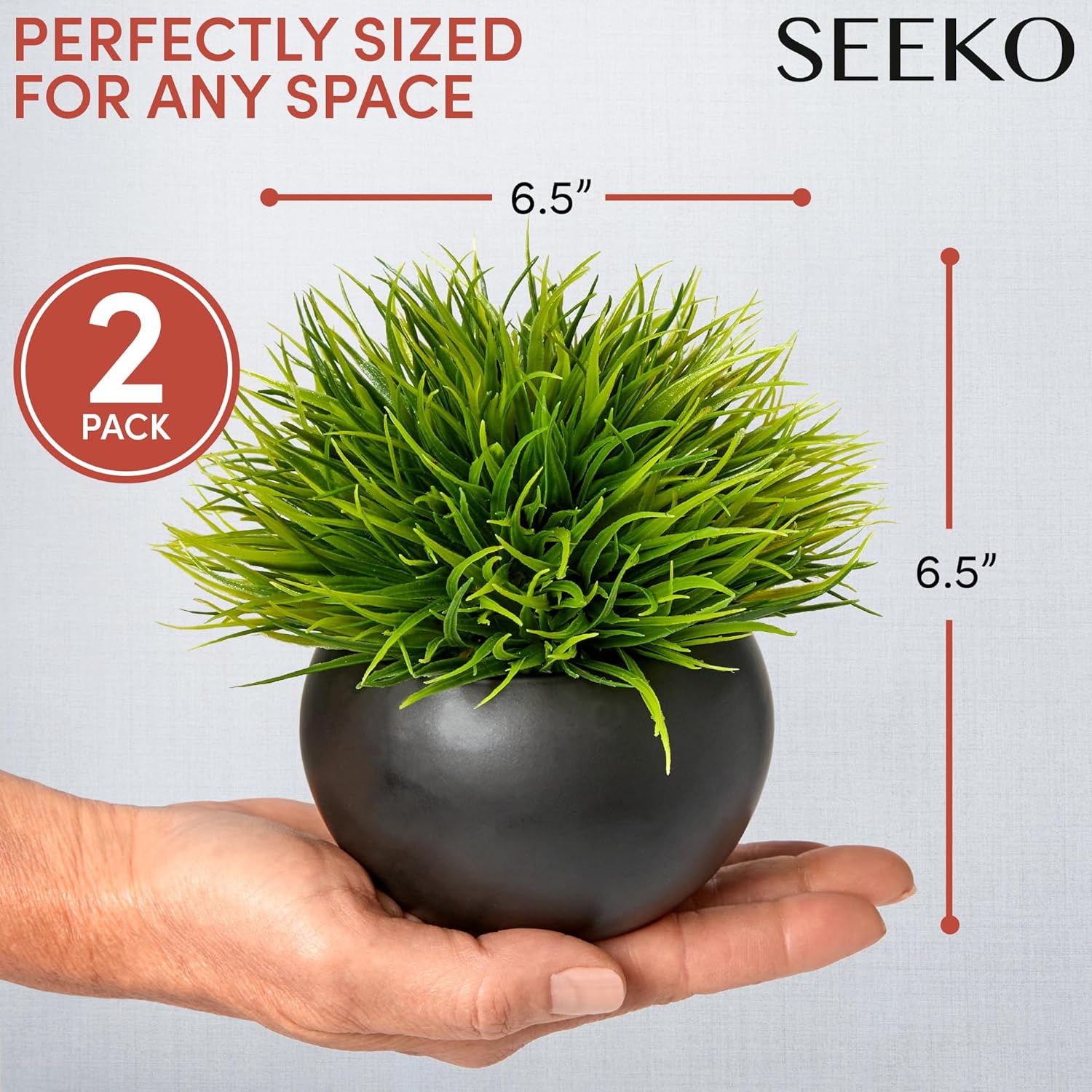 Fake Succulents Plants Artificial in Ceramic Pots Realistic Faux Succulents / Round / Set of 2