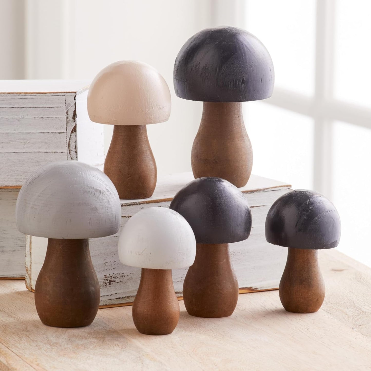 Charming Nature Inspired Gift / Black Gray 6 / Set of 6