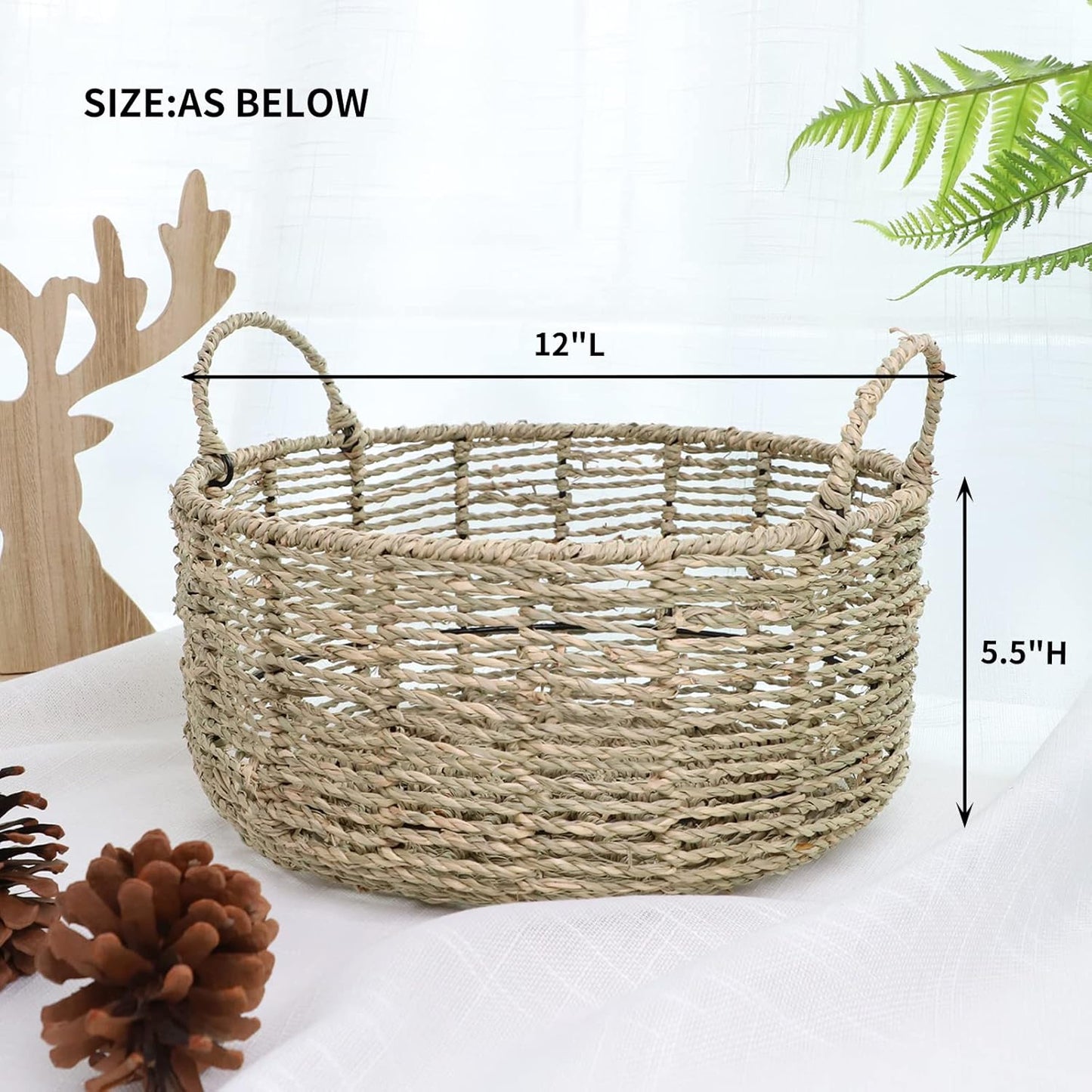 Handwoven Wicker Basket / 12.01"dx5.51"h / 12.01 Inch