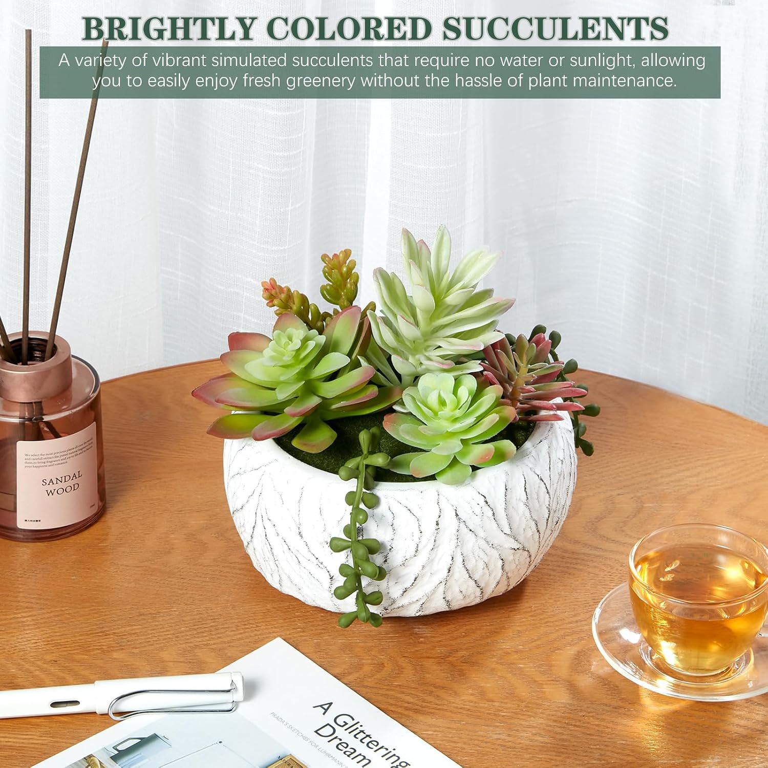 Artificial Succulent Plant in Ceramic Pot / 6inch / White