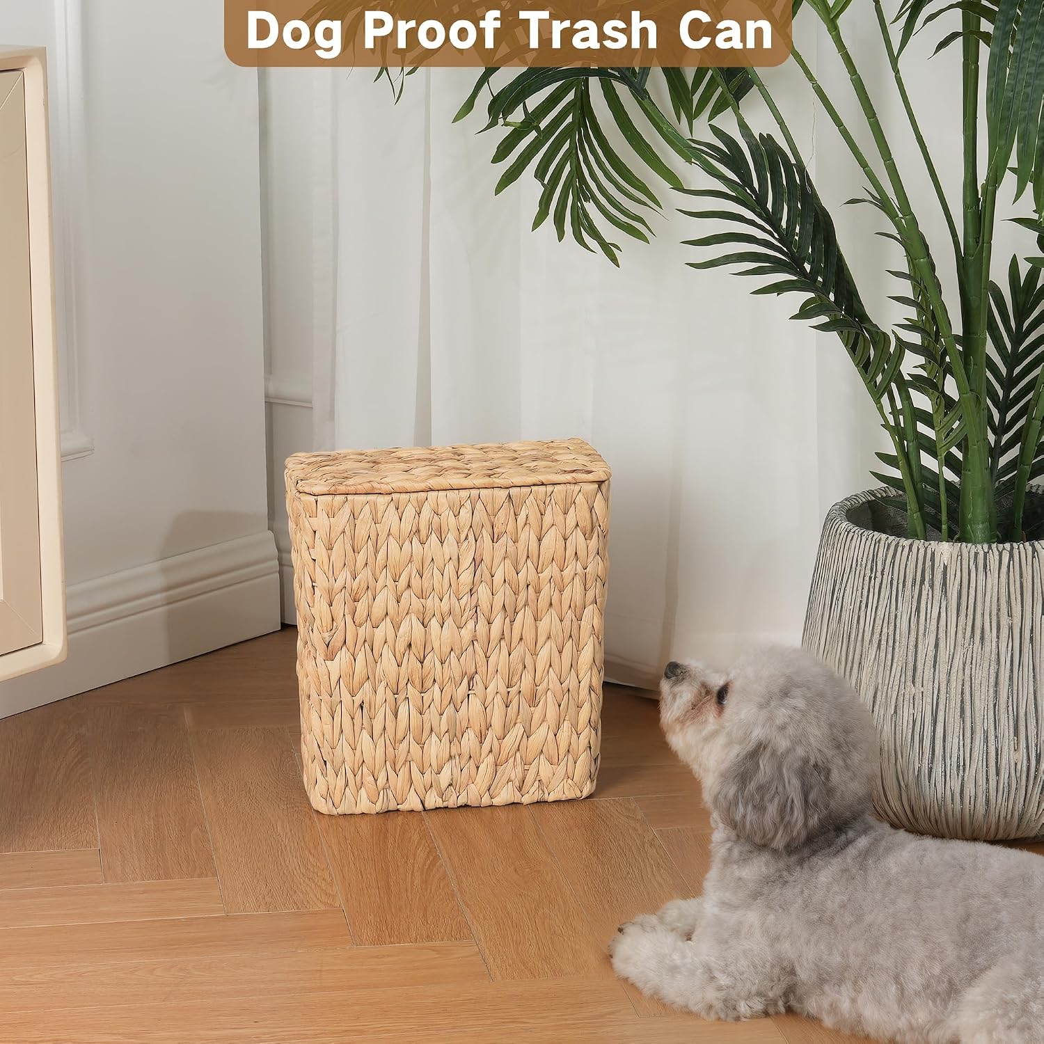 3 Gallon Natural Water Hyacinth Waste Basket / Brown / Square