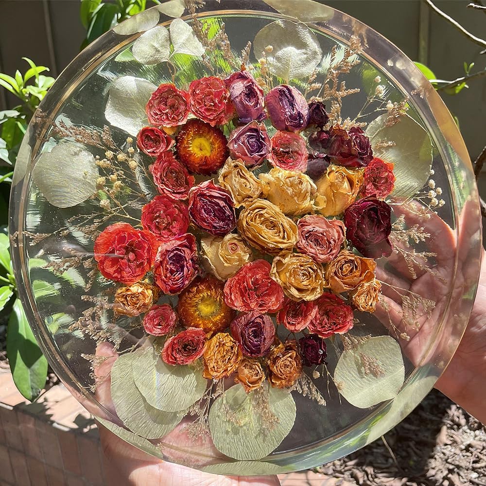 14" Round x 2" Deep XL Large Tray Mold / Set of 14