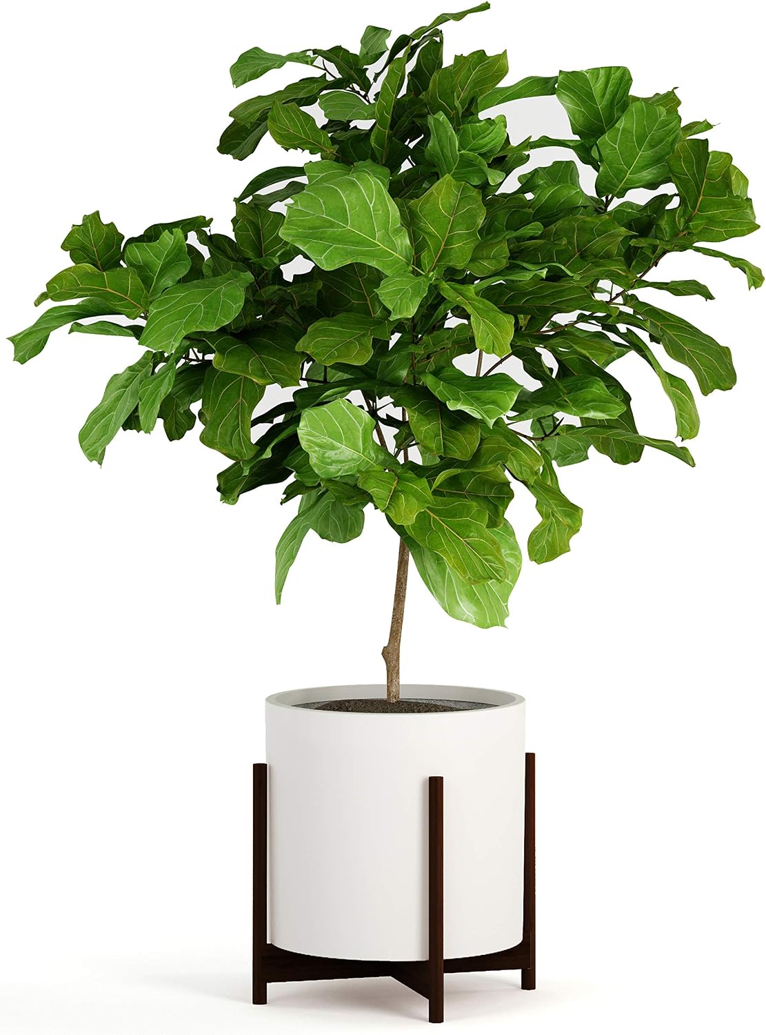 Fox & Fern Mid Century Plant Stands for Indoor Planters, Bamboo, 14.9 Inch | Plug In Design, Holds 200 lbs, Two High