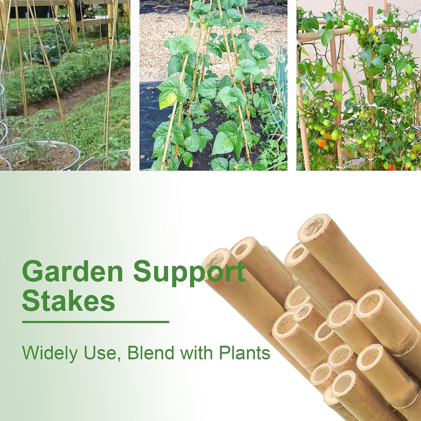 Bamboo Stakes 8FT, 8 Feet Natural Bamboo Plants Stakes, 1" D Thicker Heavy Duty Garden Stakes 10 Pack for Tomatoes