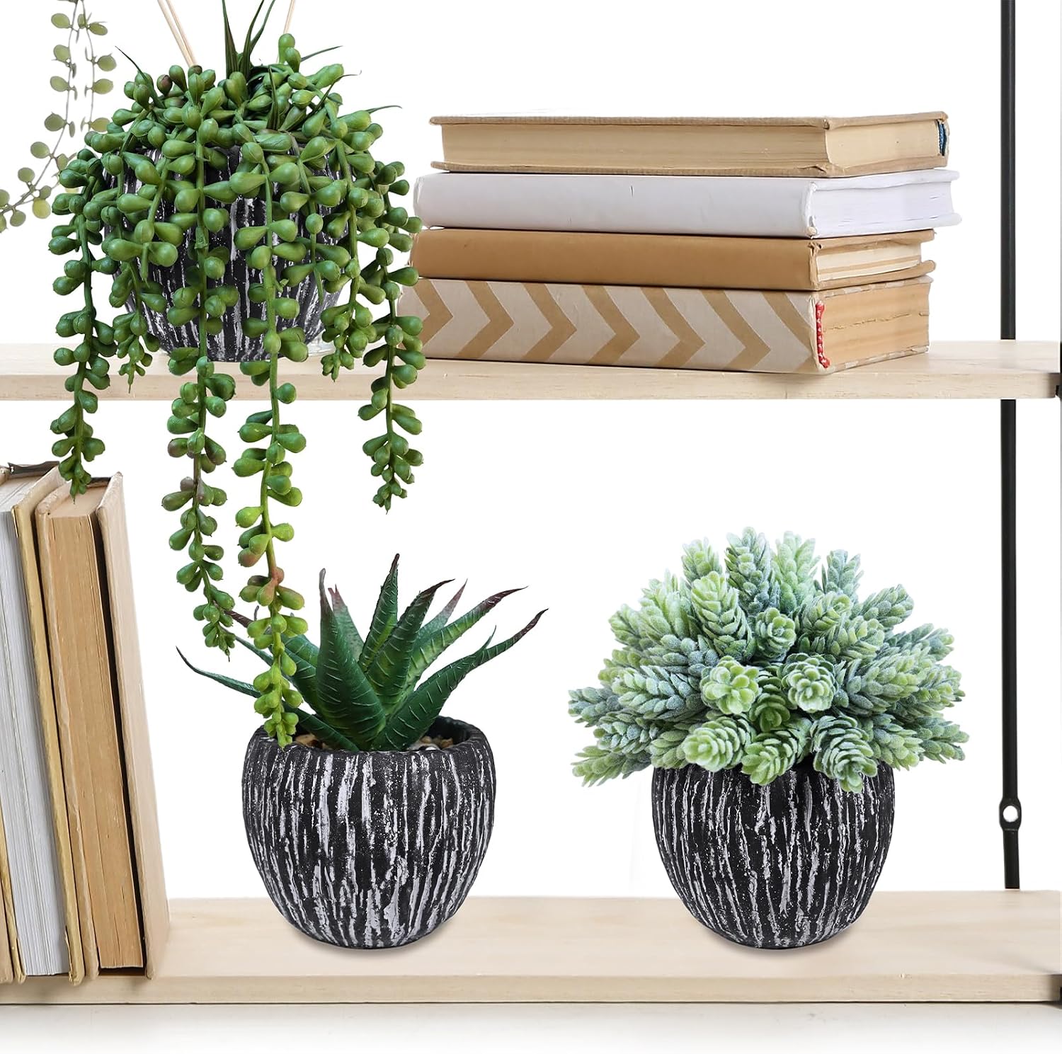 Artificial Succulent Plants in Pots Fake Hops Aloe String of Pearls Potted Plants / Black / Set of 3