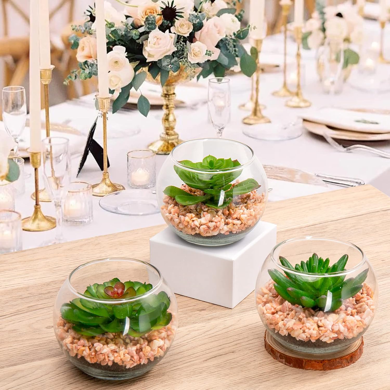 Mini Fake Plants 3 Packs Artificial Succulents Plants in Round Glass Vase / Succulents#07 / Set of 3