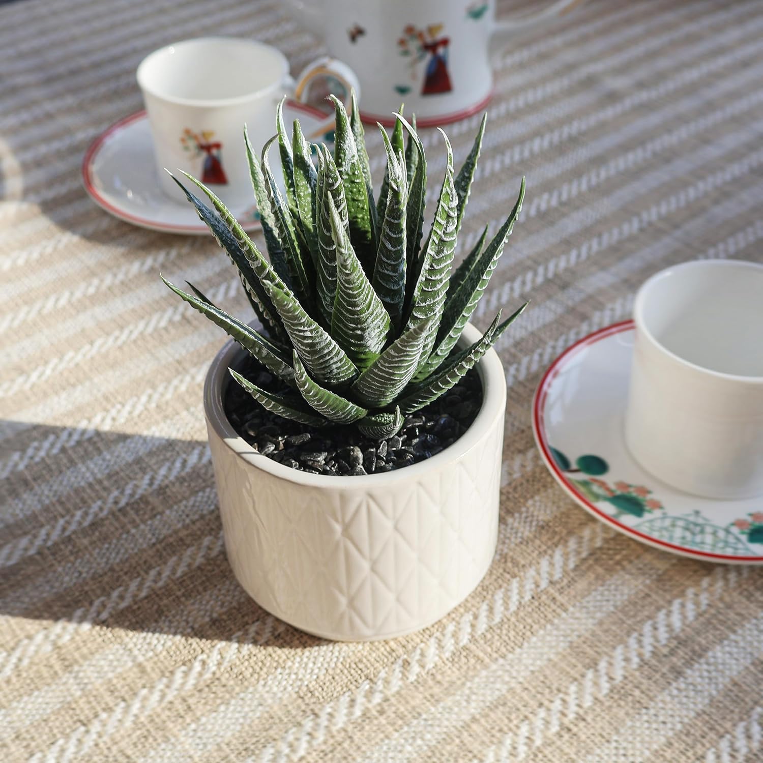 6.7'' High Faux Plants Indoor / Natural Green Succulent In White Ceramic Pot