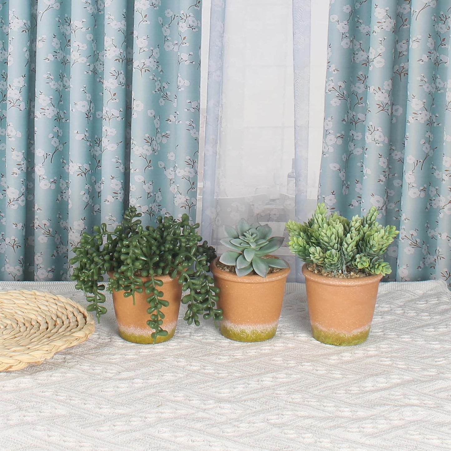 Artificial Succulent Plants Potted False Succulent Plants Potted Faux Potted Plant Family / Set of 3