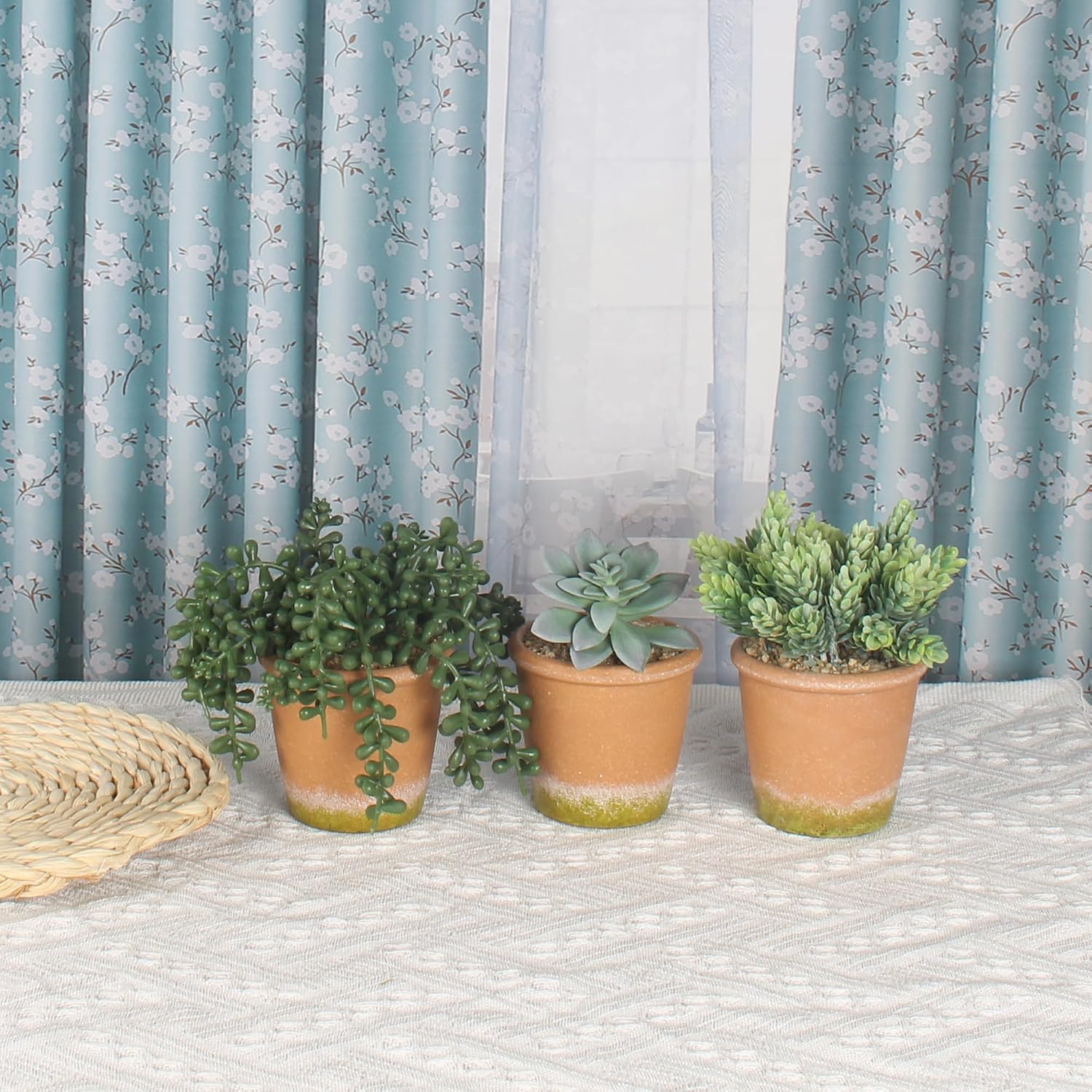 Artificial Succulent Plants Potted False Succulent Plants Potted Faux Potted Plant Family / Set of 3