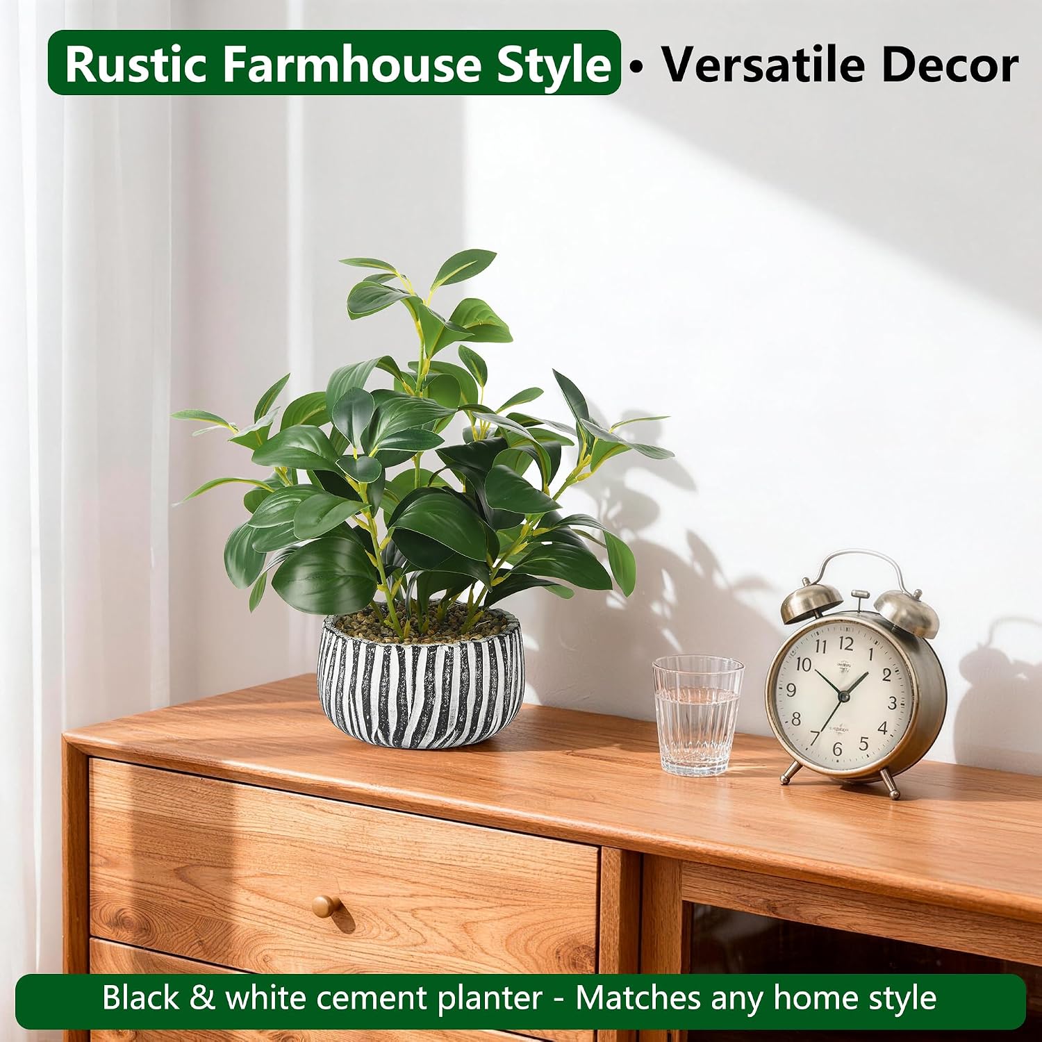 Fig Leaf Greenery in Rustic Clay Planter / White & Black Cement Planter