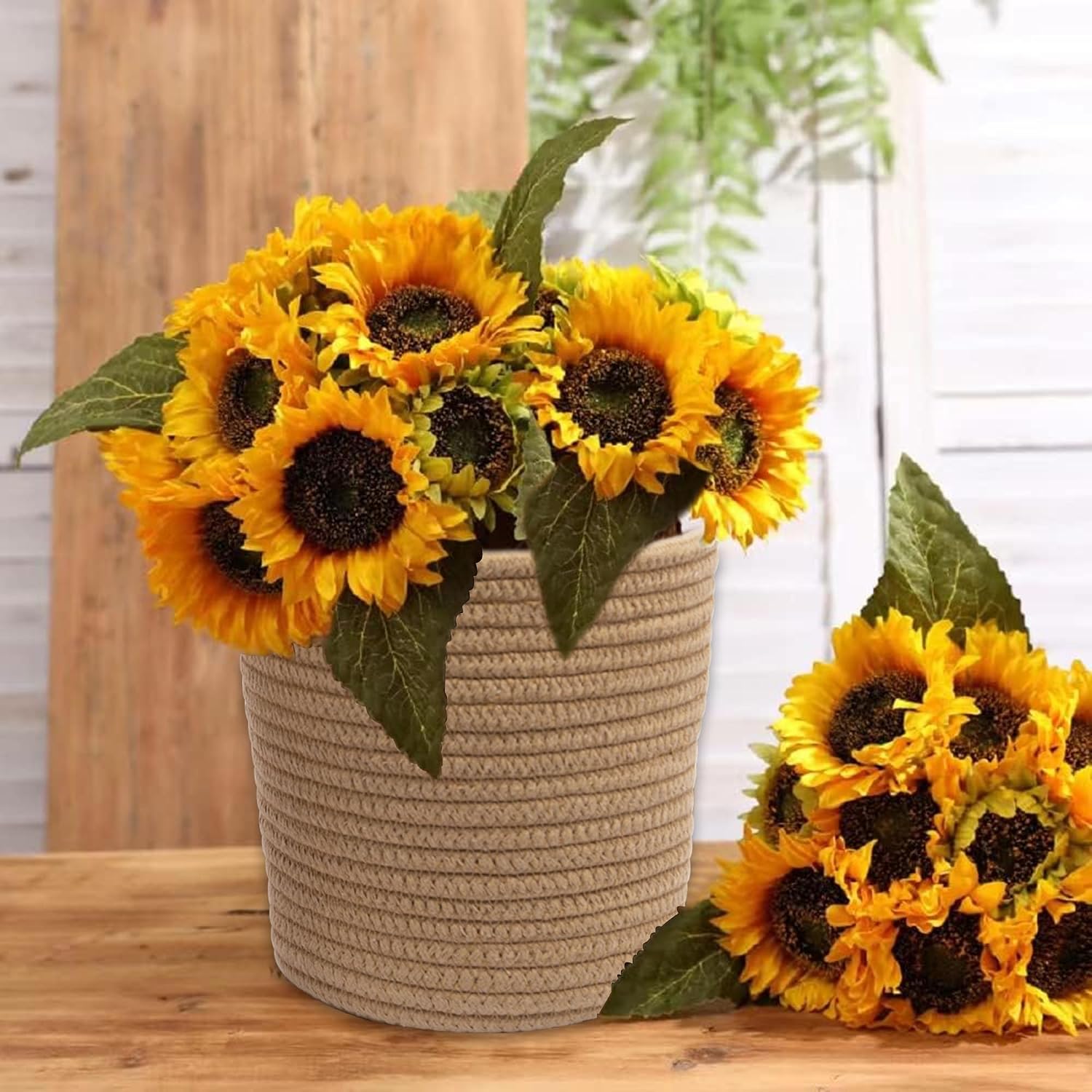 Flower Plants Wall Basket Decor Set / Set of 2