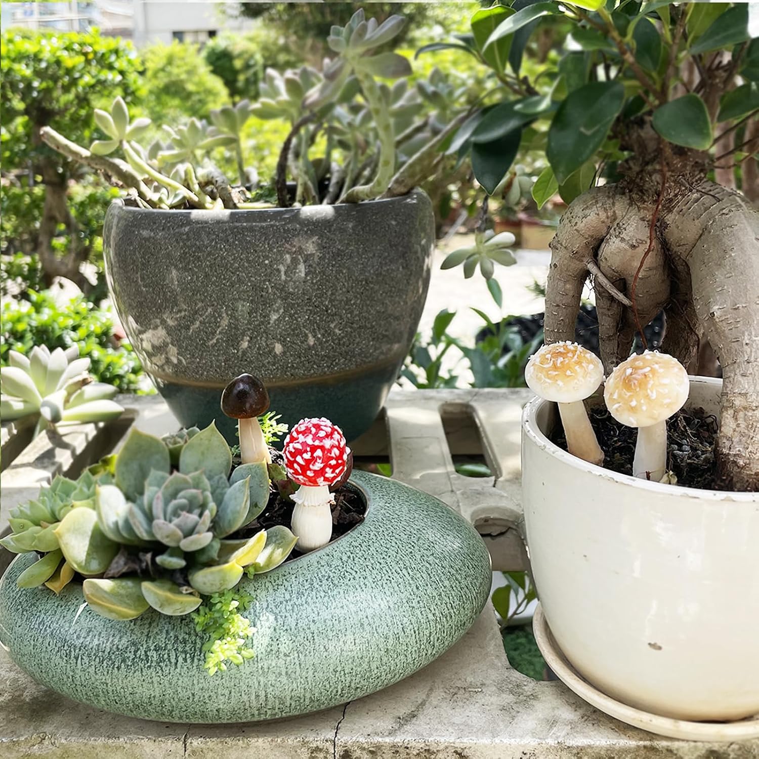 DIY Mini Mushrooms for Terrariums Potted Plant Holiday / Set of 5