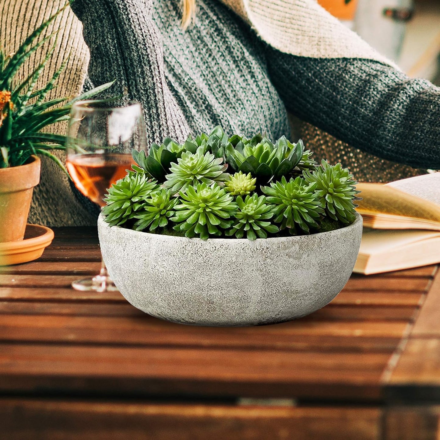 Real Looking Succulent / Echeveria Succulent Mix In Bowl