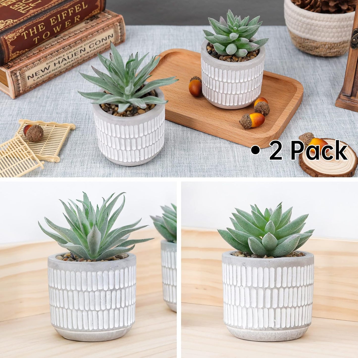 Succulents Plants Artificial Fake Cactus Plants / Set of 2