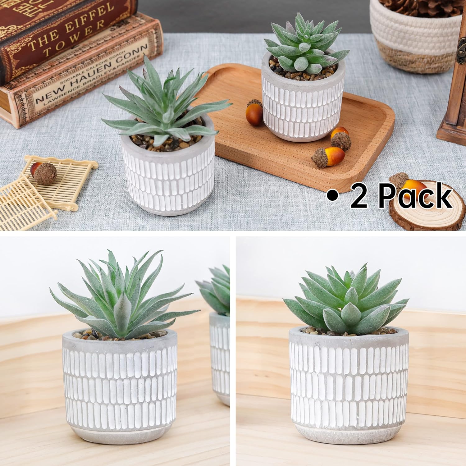 Succulents Plants Artificial Fake Cactus Plants / Set of 2