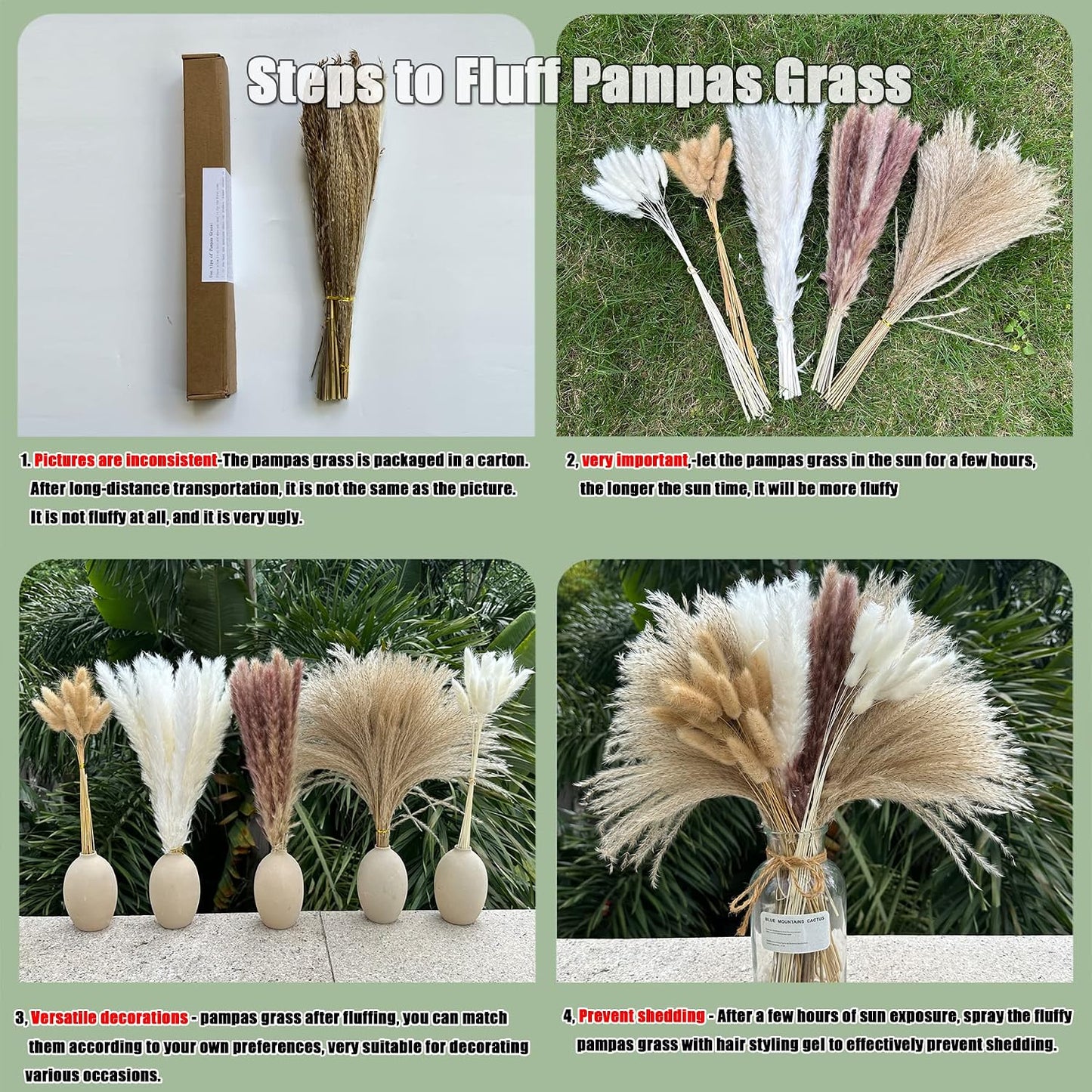 Pampas Grass Boho Home Decor 17- Dried Flowers-Pampas Grass Contains Bunny / Natural / Set of 150