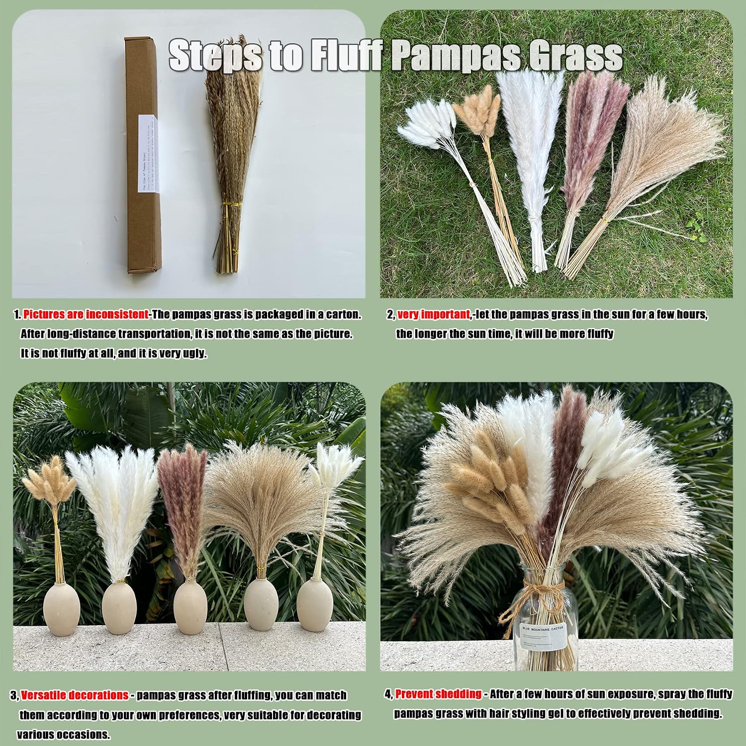 Pampas Grass Boho Home Decor 17- Dried Flowers-Pampas Grass Contains Bunny / Natural / Set of 150