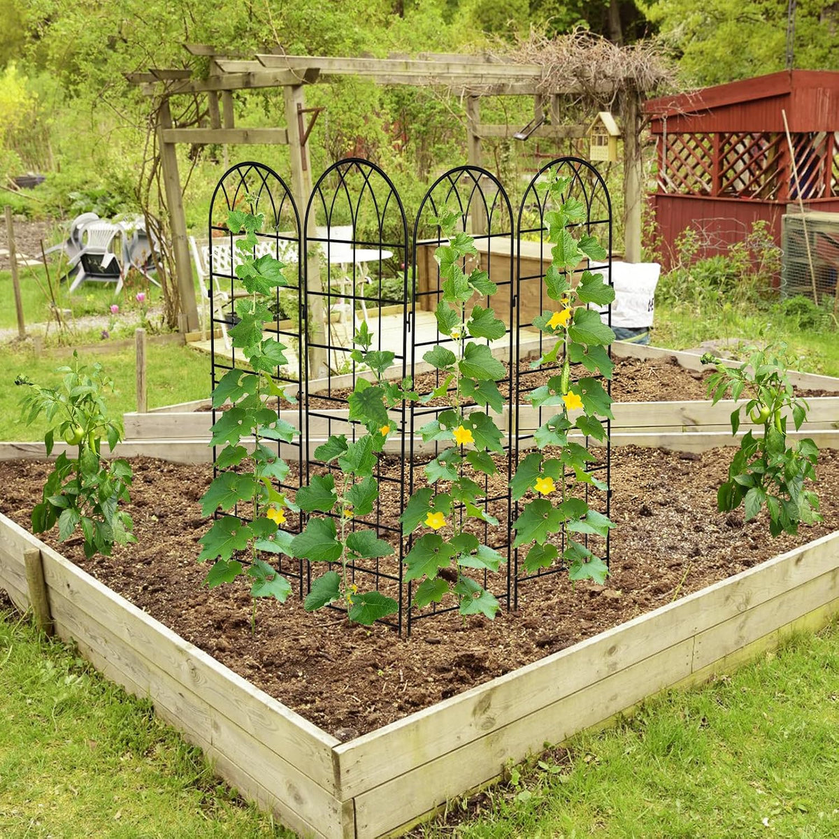 4 Pack Garden Trellis for Climbing Plants, 59 Inch Metal Trellis | Decorative Plant Support Trellis for Climbing Plants