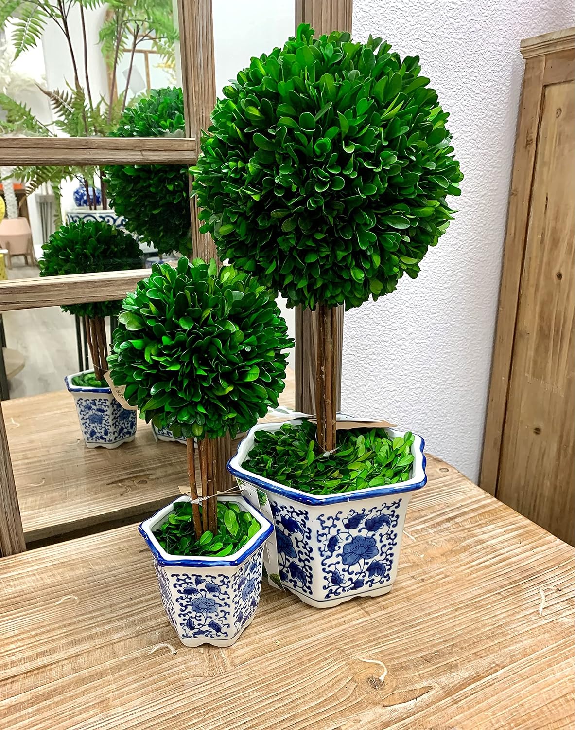 Naturally Preserved Boxwood Ball Topiary Tree in Hand / Hexagonal Pot Large 19" Topiary / Blue